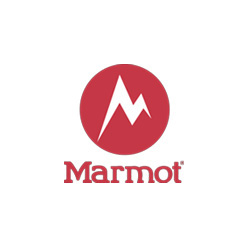 Marmot